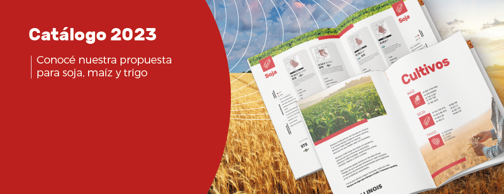 Descargar catalogo 2023